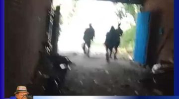 Pabrik Tempe Tanpa ijin Bebas Beroperasional Di Desa Sigara -Gara Kabupaten Deli Serdang