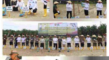 Dukung Gerakan Ketahanan Pangan Padi Gogo Kodim 0208 Asahan, Wakil Wali Kota Tanjungbalai : Komitmen Nyata Pemda Wujudkan Swasembada Pangan dan Asta Cita Presiden Prabowo 