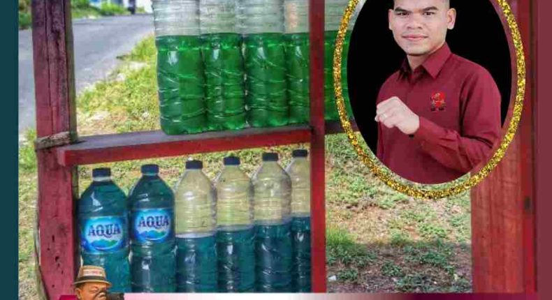 foto slider headline