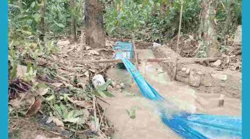 BBWS Dianggap Menyalahkan Banjir demi Menutupi Dugaan Kekeliruan Proyek Irigasi di Madina.
