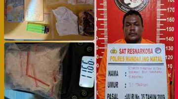 Respons Cepat Aduan Warga, Polres Madina Bongkar Peredaran Sabu di Desa Sikapas