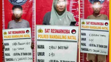 Tak Ada Ampun! Polres Madina Bongkar Jaringan Sabu Lingga Bayu, 84,89 Gram Narkotika Disita