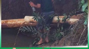 Diduga Limbah PMKS PT Palmaris Raya Cemari Sungai di Madina, Air Menghitam dan Berbau