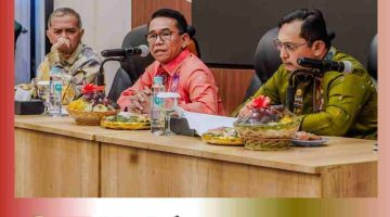 Di Hadapan DPR RI, Wakil Wali Kota Medan Suarakan Beban Warga Akibat Banjir Berulang