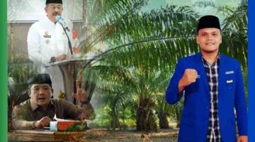 PKC PMII Sumut Desak Pemkab dan DPRD Madina Evaluasi Total HGU PT Prakarsa Dharma Maduma