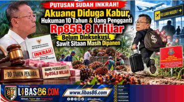 PUTUSAN SUDAH INKRAH! Akuang Diduga Kabur, Hukuman 10 Tahun & Uang Pengganti Rp856,8 Miliar Belum Dieksekusi, Sawit Sitaan Masih Dipanen