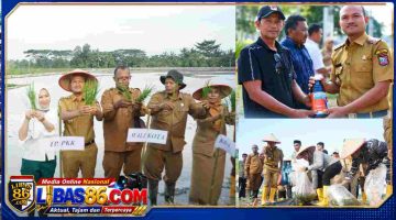 Dukung Ketahanan Pangan, Wali Kota Tanjungbalai Tanam Padi Perdana di Lahan 43 Hektare, Target Produksi 1.531 Ton